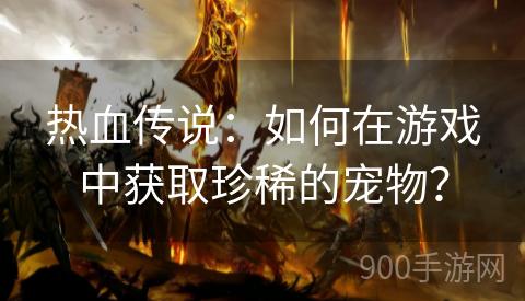 热血传说：如何在游戏中获取珍稀的宠物？