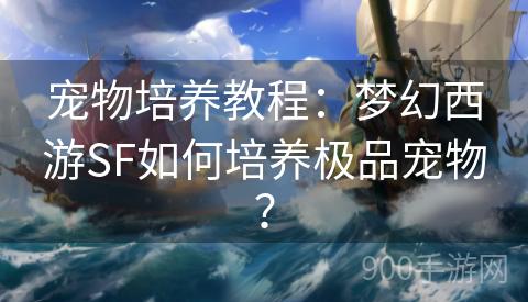 宠物培养教程：梦幻西游SF如何培养极品宠物？
