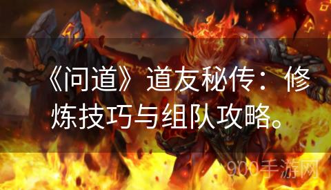 《问道》道友秘传：修炼技巧与组队攻略。