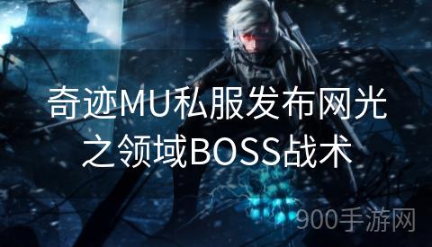 奇迹MU私服发布网光之领域BOSS战术