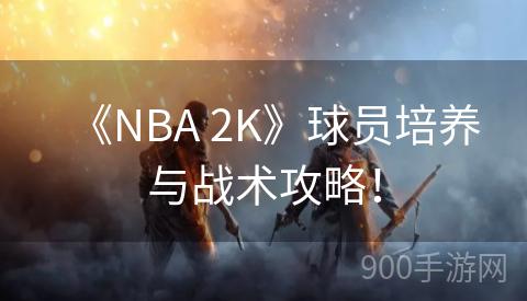 《NBA 2K》球员培养与战术攻略！