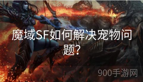 魔域SF如何解决宠物问题？