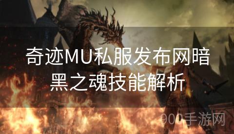 奇迹MU私服发布网暗黑之魂技能解析