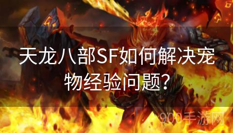 天龙八部SF如何解决宠物经验问题？