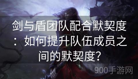 剑与盾团队配合默契度：如何提升队伍成员之间的默契度？