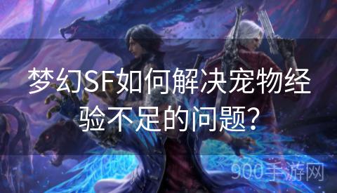 梦幻SF如何解决宠物经验不足的问题？