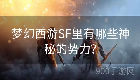 梦幻西游SF里有哪些神秘的势力？