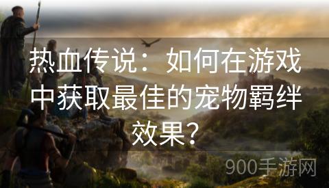 热血传说：如何在游戏中获取最佳的宠物羁绊效果？