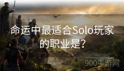 命运中最适合Solo玩家的职业是？