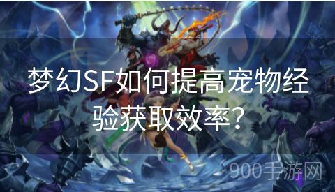 梦幻SF如何提高宠物经验获取效率？