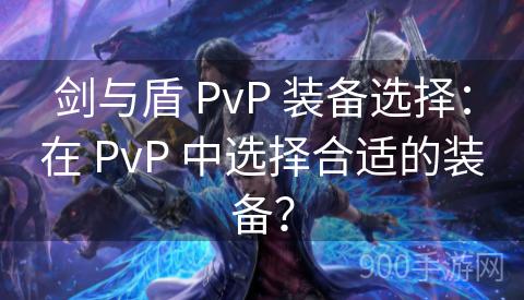 剑与盾 PvP 装备选择：在 PvP 中选择合适的装备？