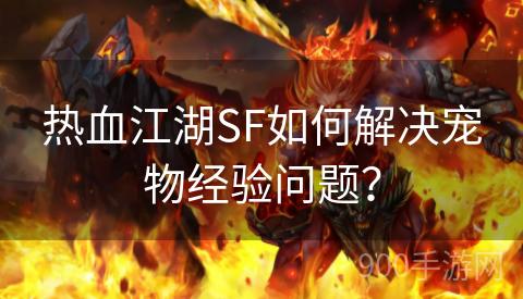 热血江湖SF如何解决宠物经验问题？