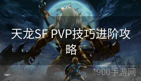 天龙SF PVP技巧进阶攻略