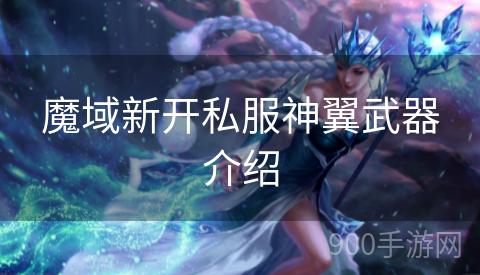 魔域新开私服神翼武器介绍