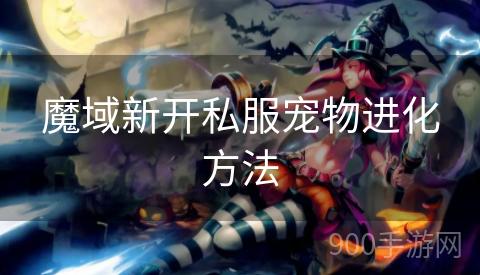 魔域新开私服宠物进化方法