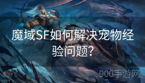 魔域SF如何解决宠物经验问题？