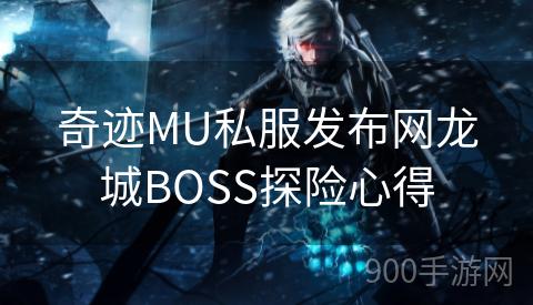 奇迹MU私服发布网龙城BOSS探险心得